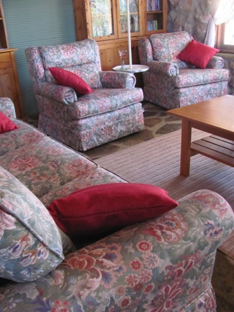 Books and DVD's library behind the lounges